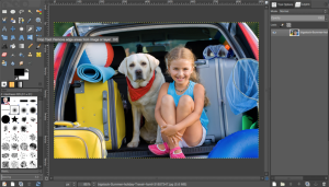 crop tool tip with photo